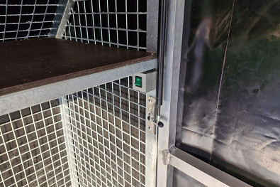 TANATECH Přívěs Wiola L35G55P 3500kg MOTORSPORT přepravník na auta